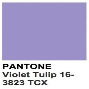 Tecido Cetim Span Premium Cor Lilás Pantone 16-3823 TCX VIOLET TULIP