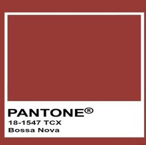 Tecido Microtule De Glitter Cor Terracota Escuro Pantone: 18-1547TCX Bossa Nova 