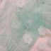 Tecido Renda Tule Bordada 3D Floral Cor Verde Menta Pantone: 14-4809 TCX Eggshell Blue 