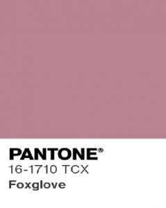 Tecido Zibeline Acetinado Rosê Clássico Pantone: 16-1710 TCX Foxglove 